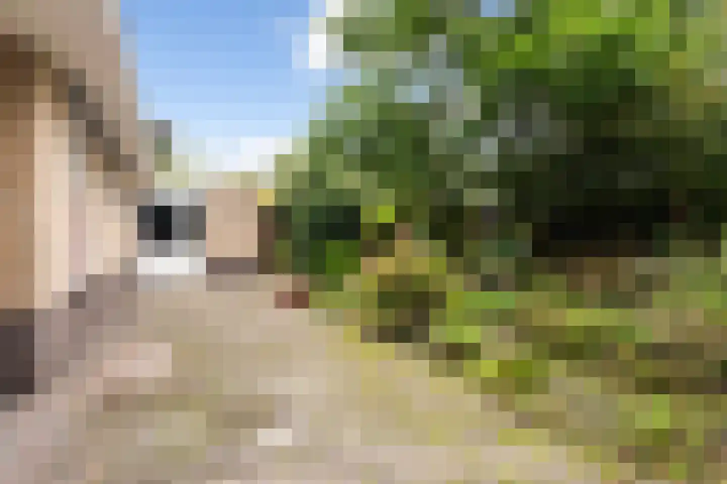 Eslawâld 53 Feanwâlden thumbnail 37