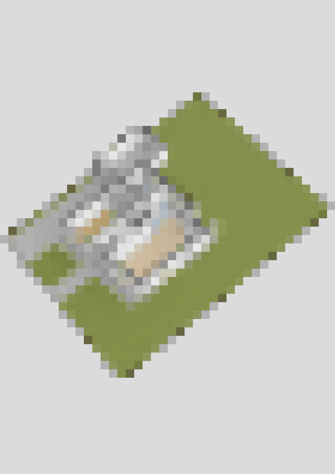 Eslawâld 53 Feanwâlden thumbnail 45