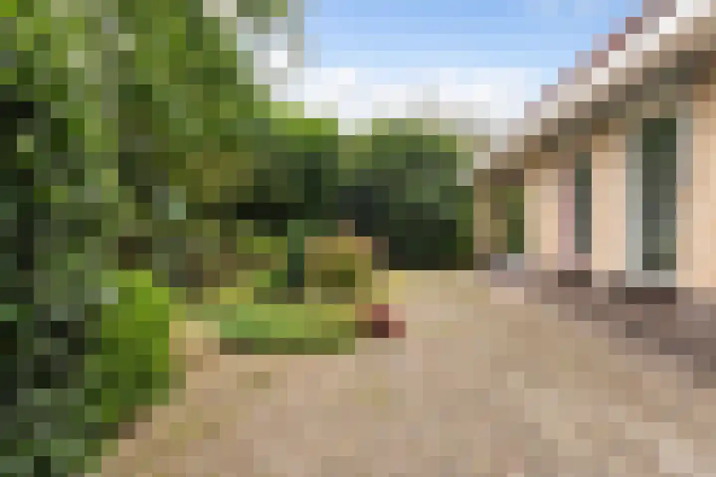 Eslawâld 53 Feanwâlden thumbnail 6