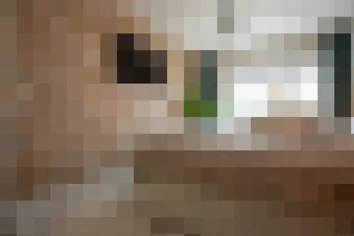 Esmarkelaan 402 Enschede thumbnail 13