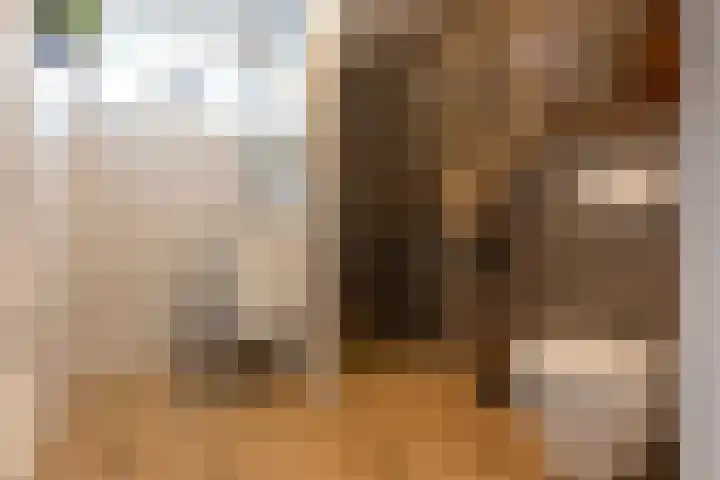 Esmarkelaan 402 Enschede thumbnail 16