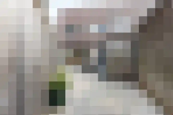 Esmarkelaan 402 Enschede thumbnail 26