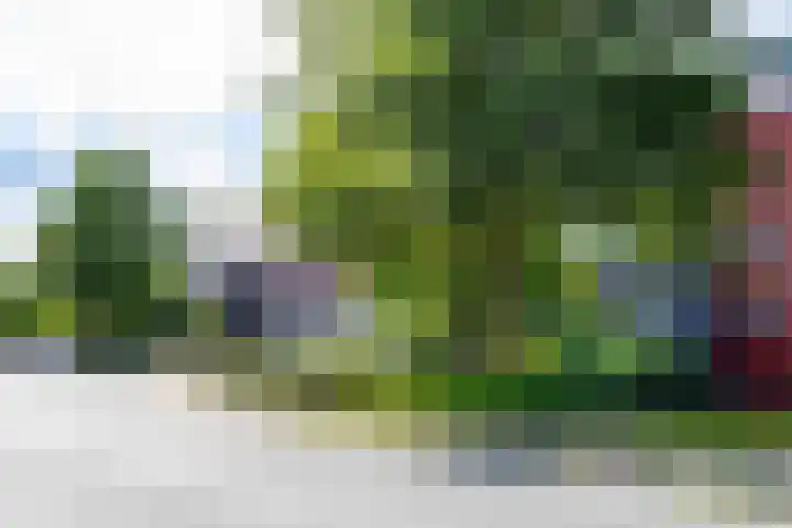 Esmarkelaan 402 Enschede thumbnail 29