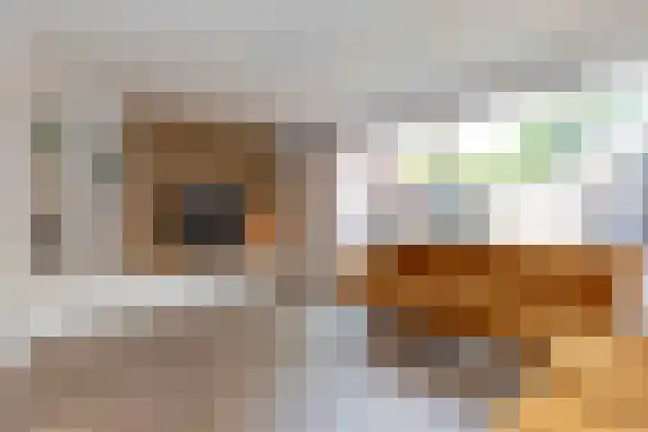 Esmarkelaan 402 Enschede thumbnail 5