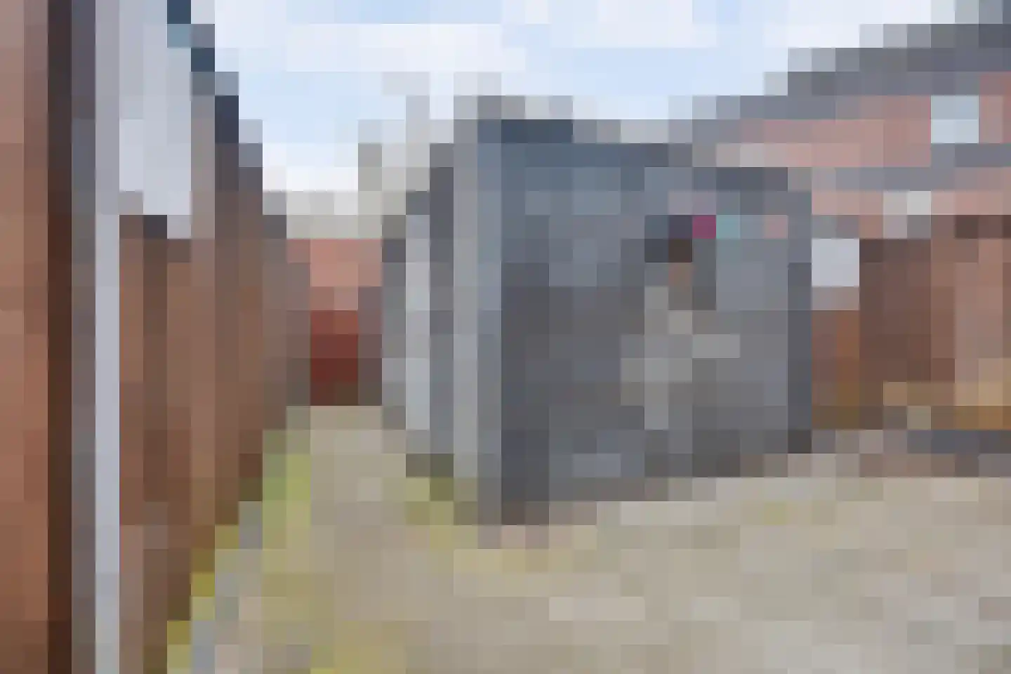 Esmarkelaan 404 Enschede thumbnail 29
