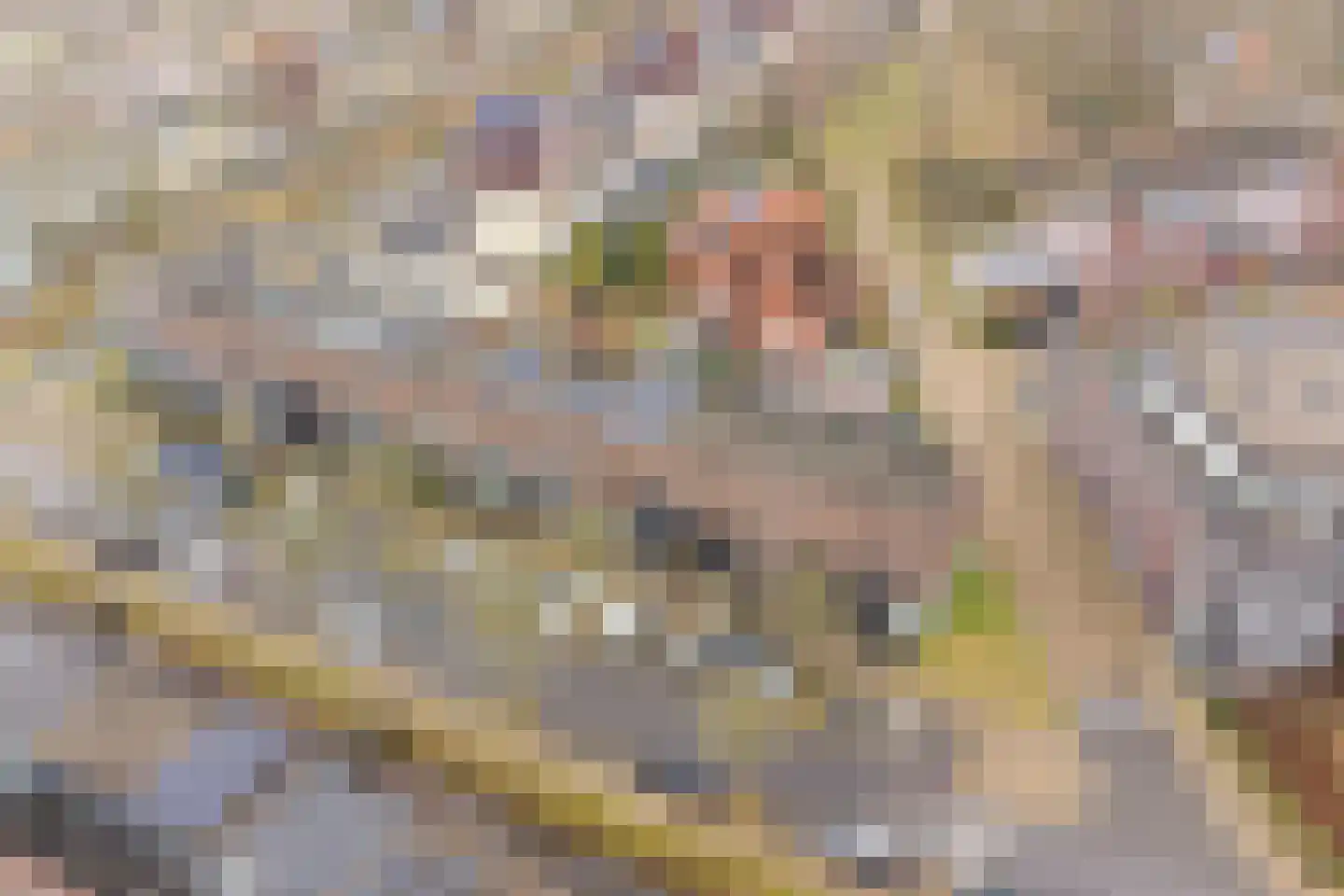 Esmarkelaan 404 Enschede thumbnail 30