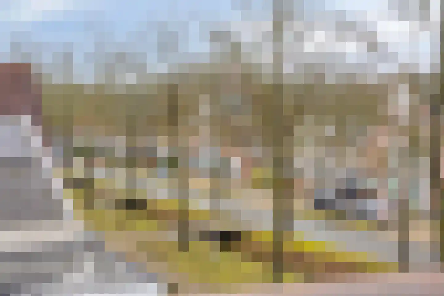 Esmarkelaan 430 Enschede thumbnail 24