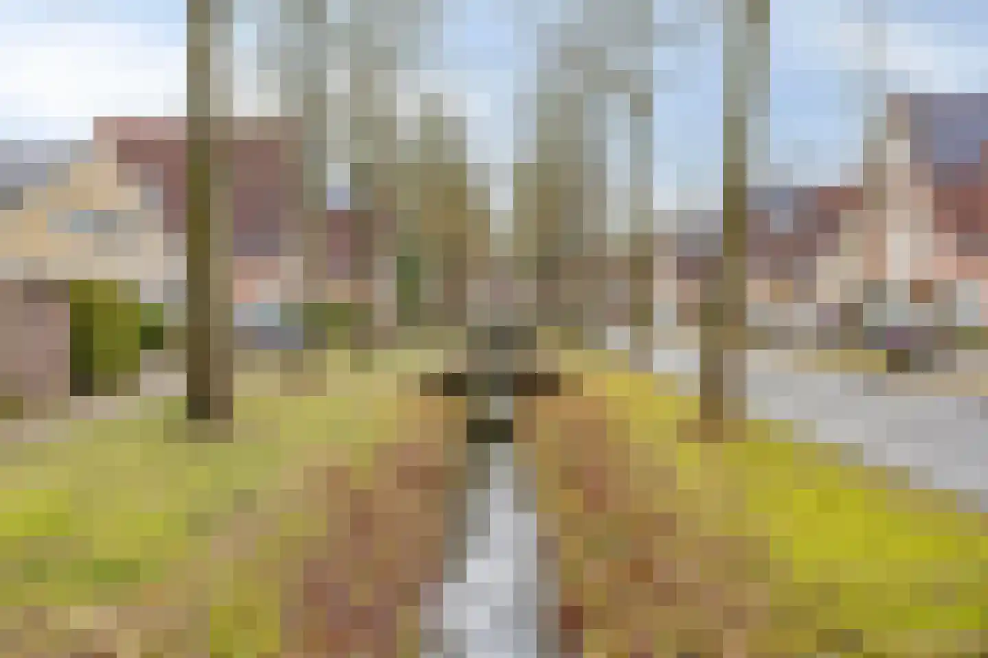 Esmarkelaan 430 Enschede thumbnail 28