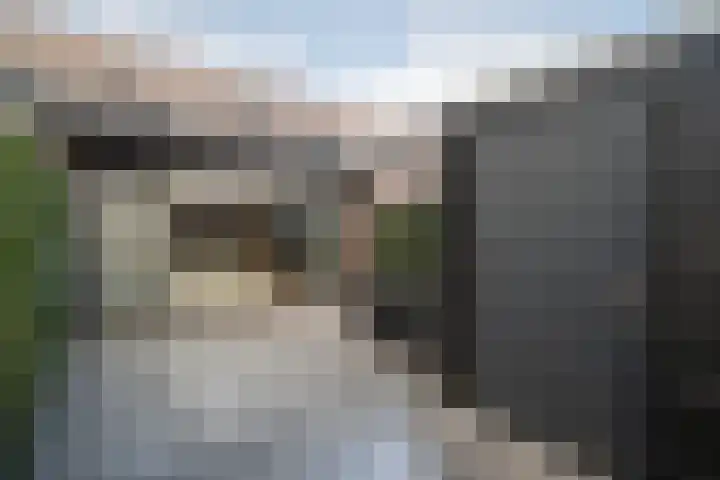 Esmarkelaan 459 Enschede thumbnail 30