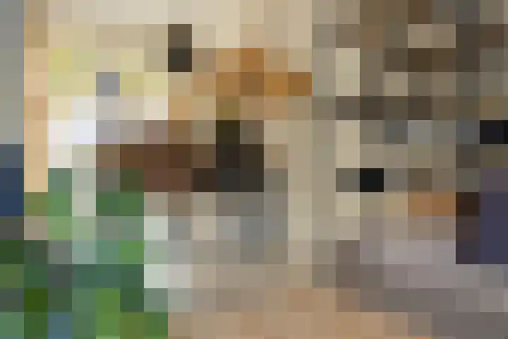 Esmarkelaan 460 Enschede thumbnail 14