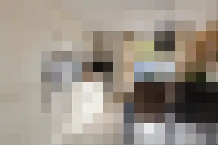 Esmarkelaan 460 Enschede thumbnail 17