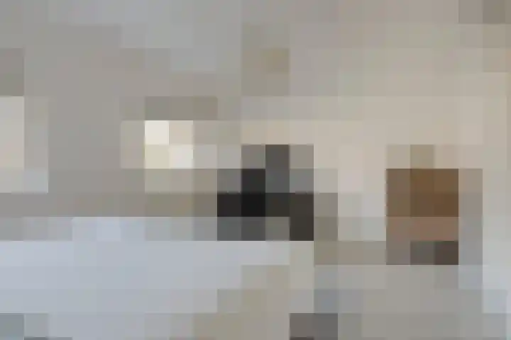 Esmarkelaan 460 Enschede thumbnail 23