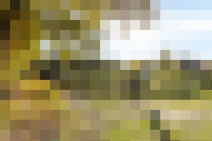 Esmarkelaan 460 Enschede thumbnail 31