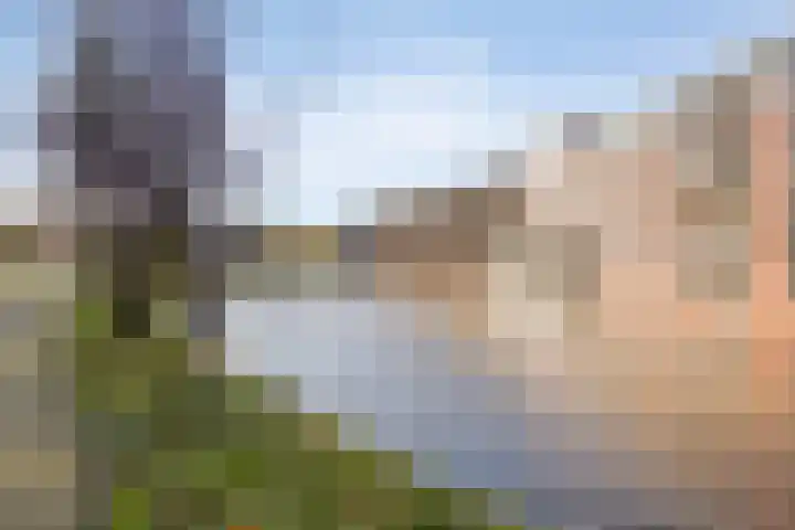 Esmarkelaan 460 Enschede thumbnail 33