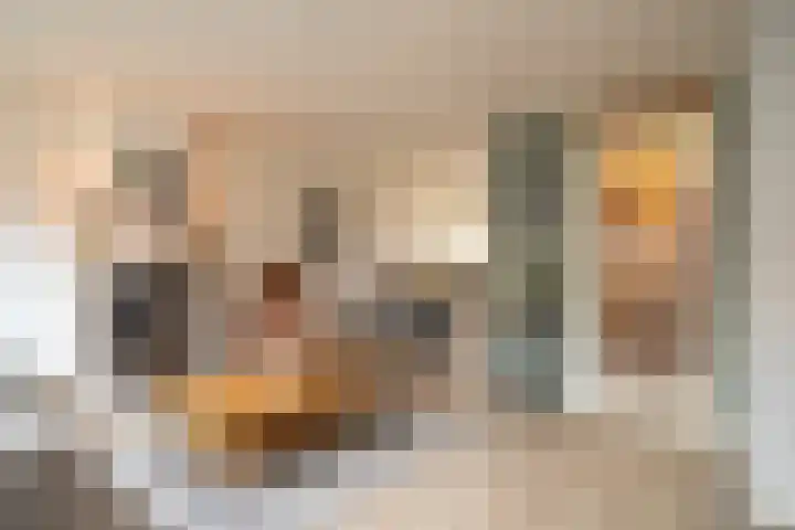 Esmarkelaan 470 Enschede thumbnail 10