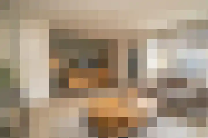 Esmarkelaan 470 Enschede thumbnail 11
