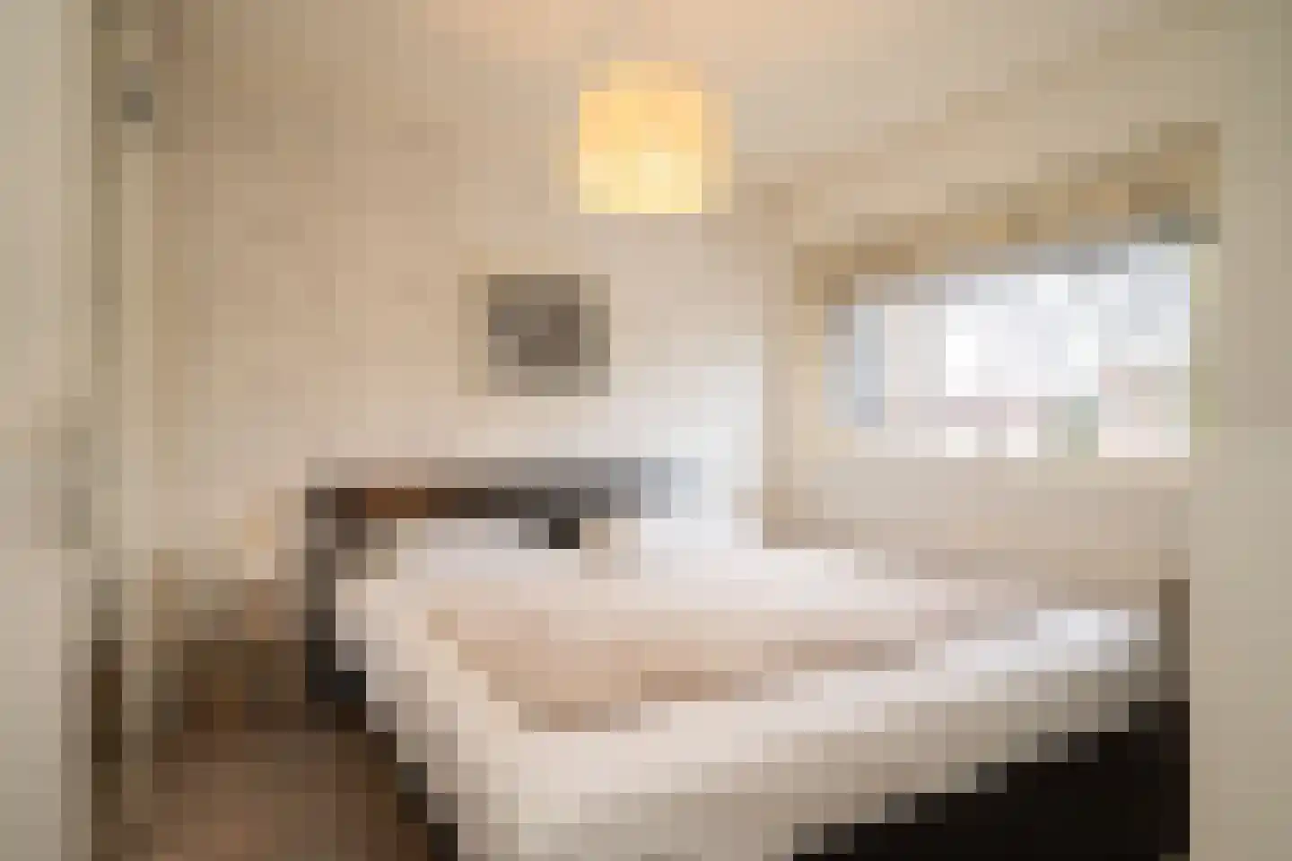 Esmarkelaan 470 Enschede thumbnail 18