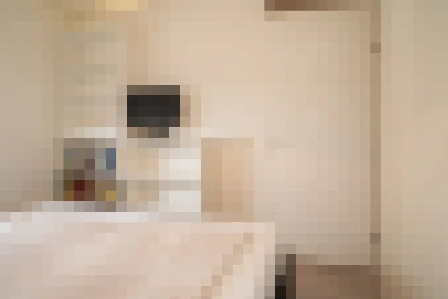 Esmarkelaan 470 Enschede thumbnail 19