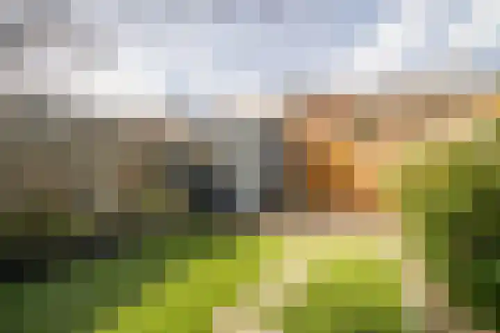 Esmarkelaan 470 Enschede thumbnail 24