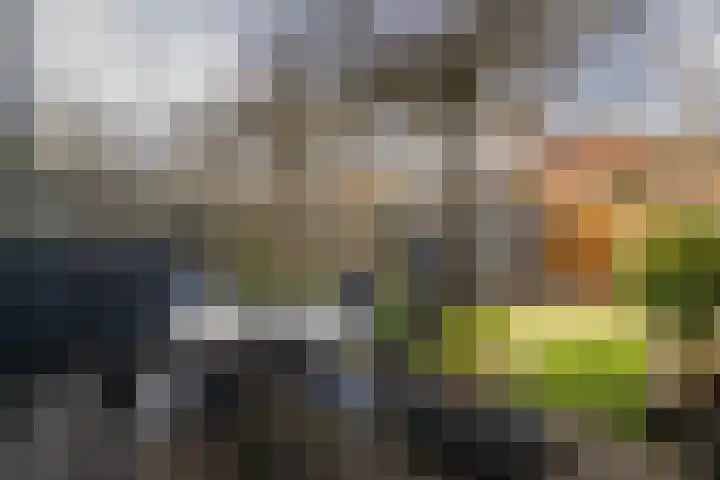Esmarkelaan 470 Enschede thumbnail 26