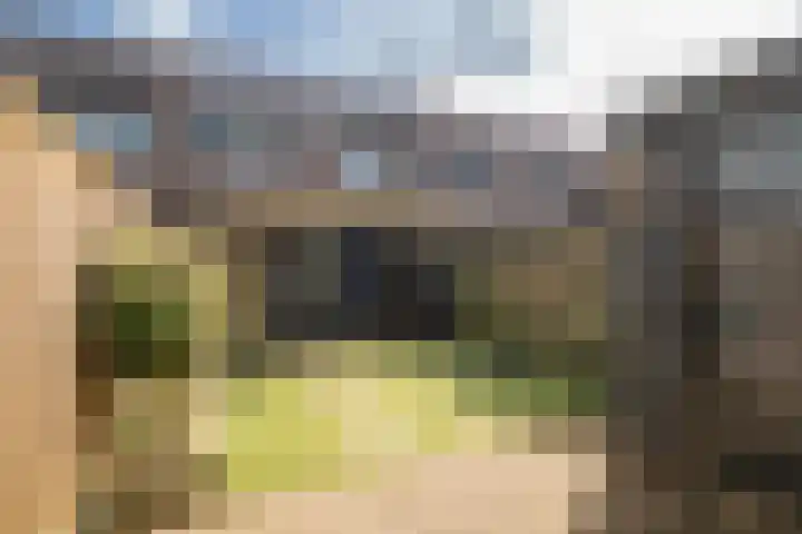 Esmarkelaan 470 Enschede thumbnail 29
