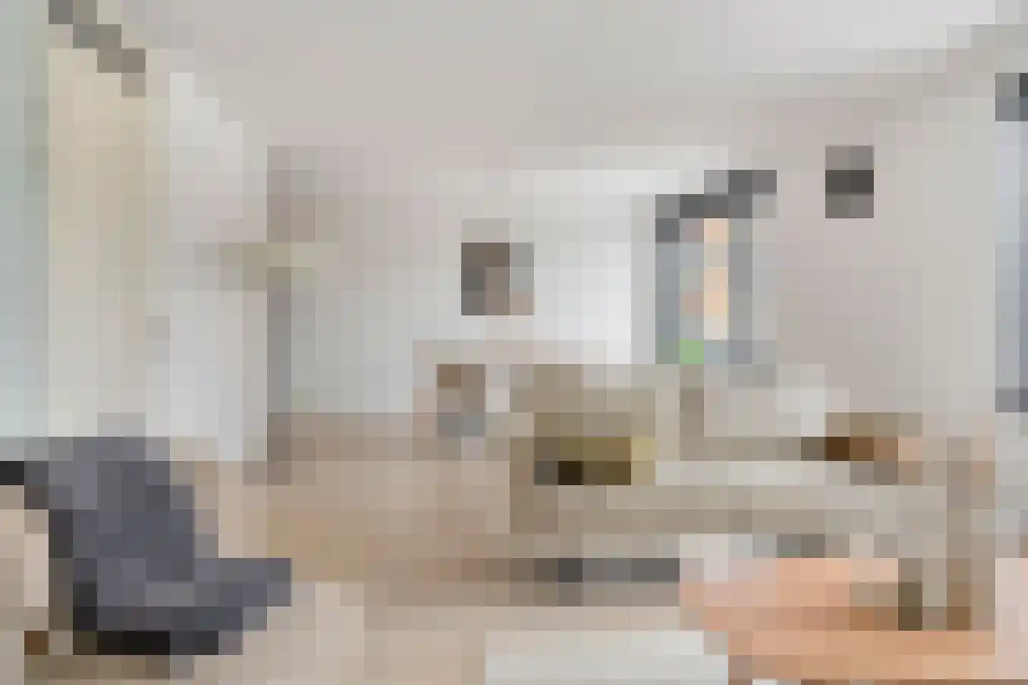 Esmarkelaan 50 Enschede thumbnail 16