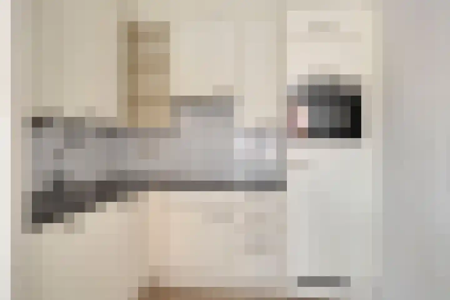 Esmarkelaan 50 Enschede thumbnail 20