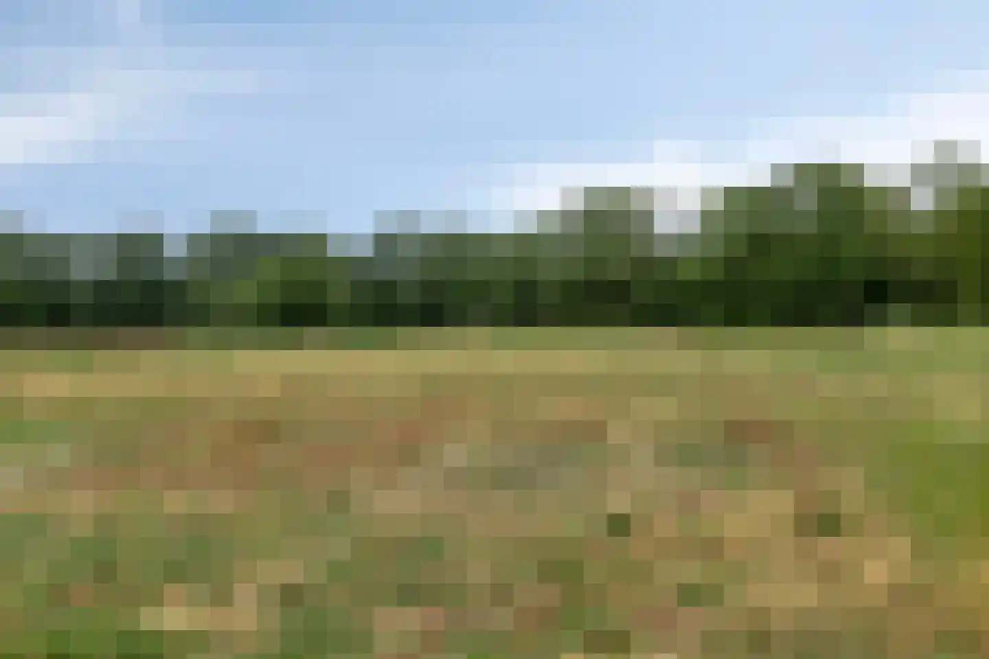 Esmarkelaan 50 Enschede thumbnail 34