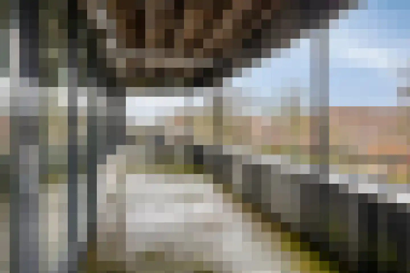 Esmarkelaan 58 Enschede thumbnail 24