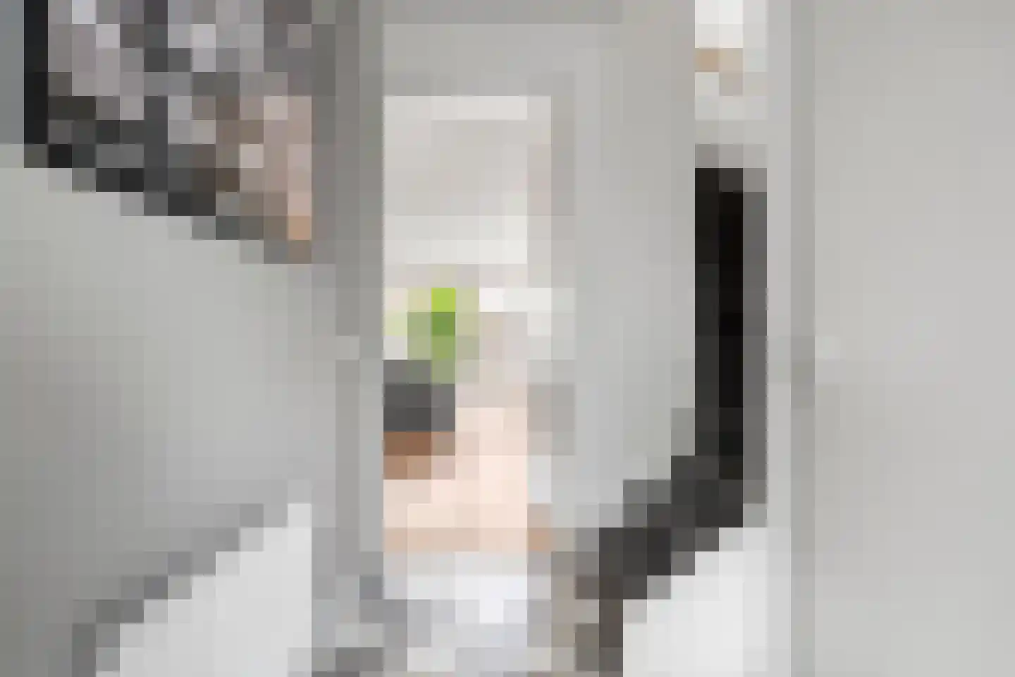 Esmeraldstraat 21 Ede thumbnail 17