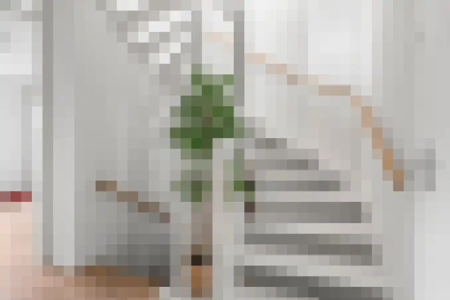 Esmeraldstraat 21 Ede thumbnail 29