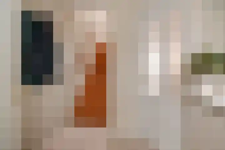 Esmoreitschouw 62 Zoetermeer thumbnail 8