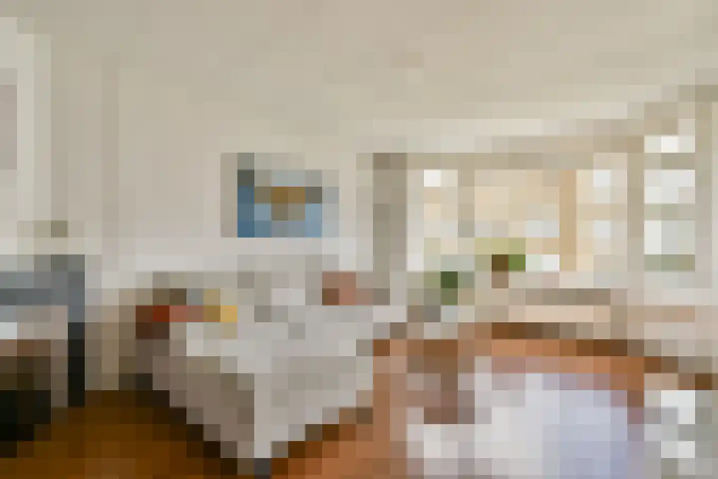 Esmoreitstraat 15 3 Amsterdam thumbnail 4