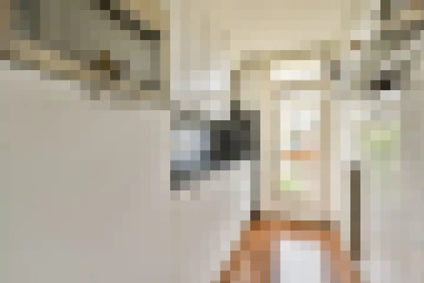 Esmoreitstraat 15 3 Amsterdam thumbnail 9