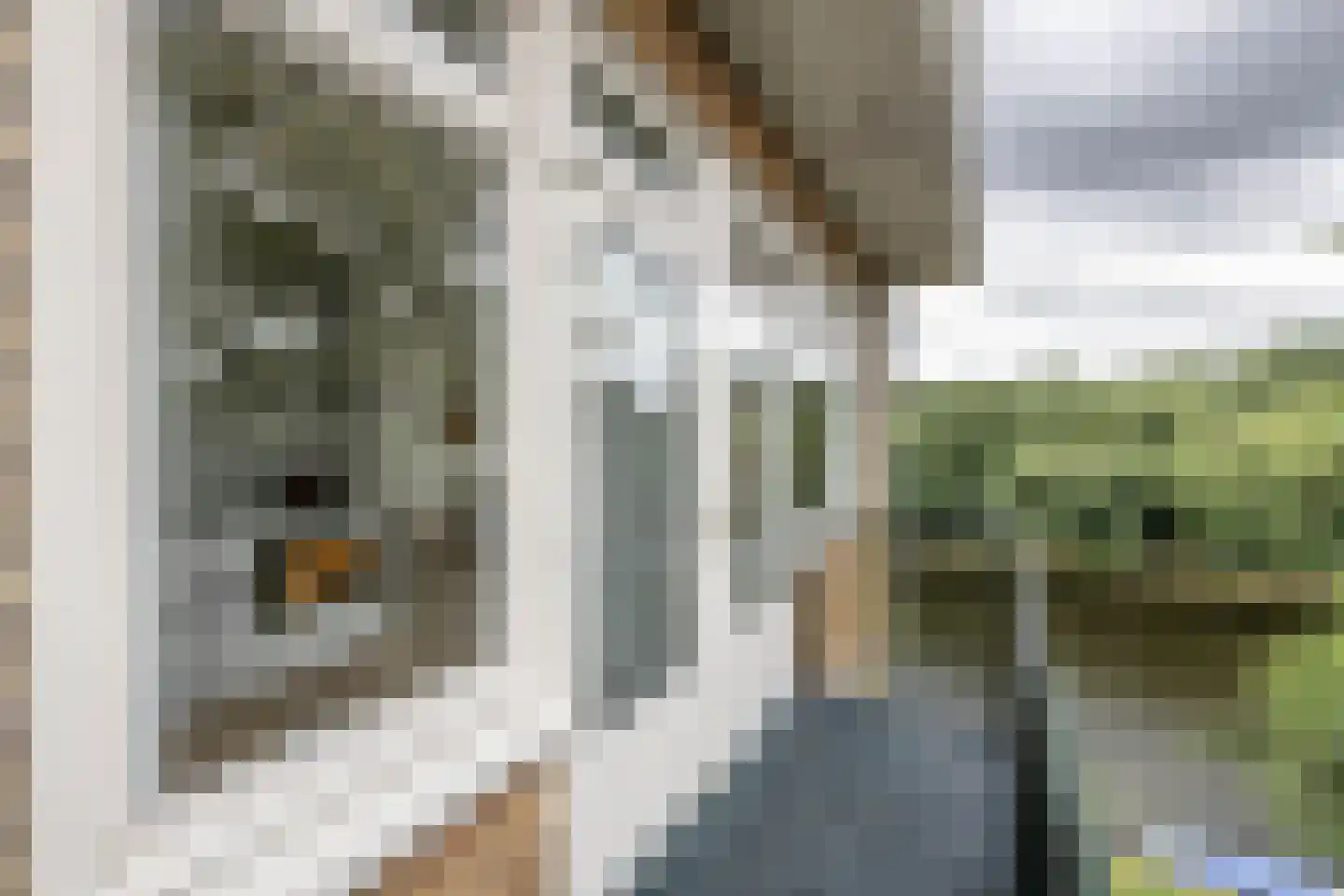 Esmoreitstraat 2 3 Amsterdam thumbnail 13