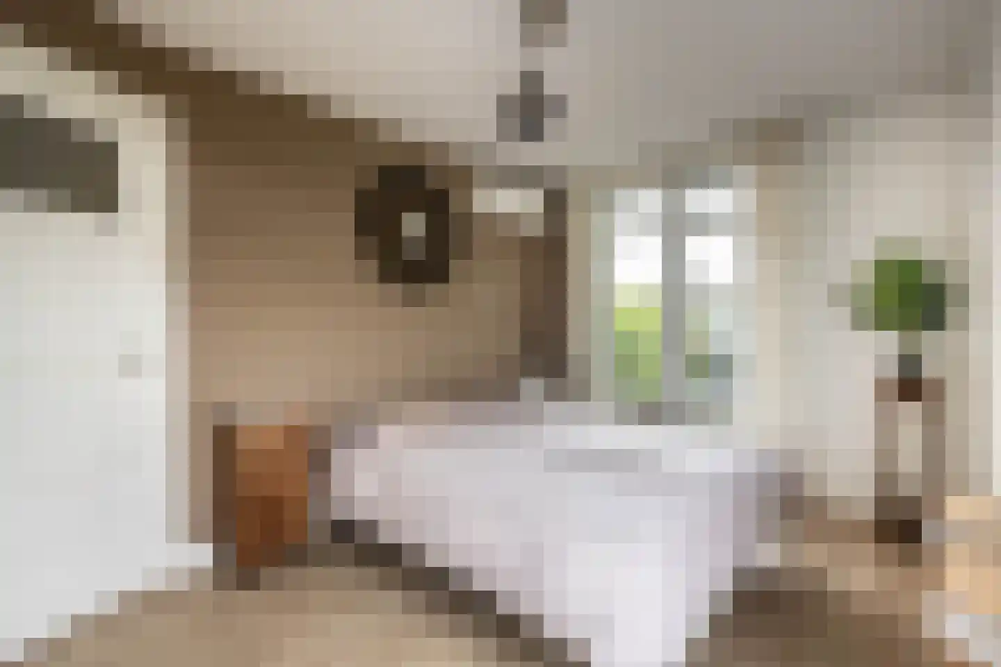 Esmoreitstraat 2 3 Amsterdam thumbnail 15