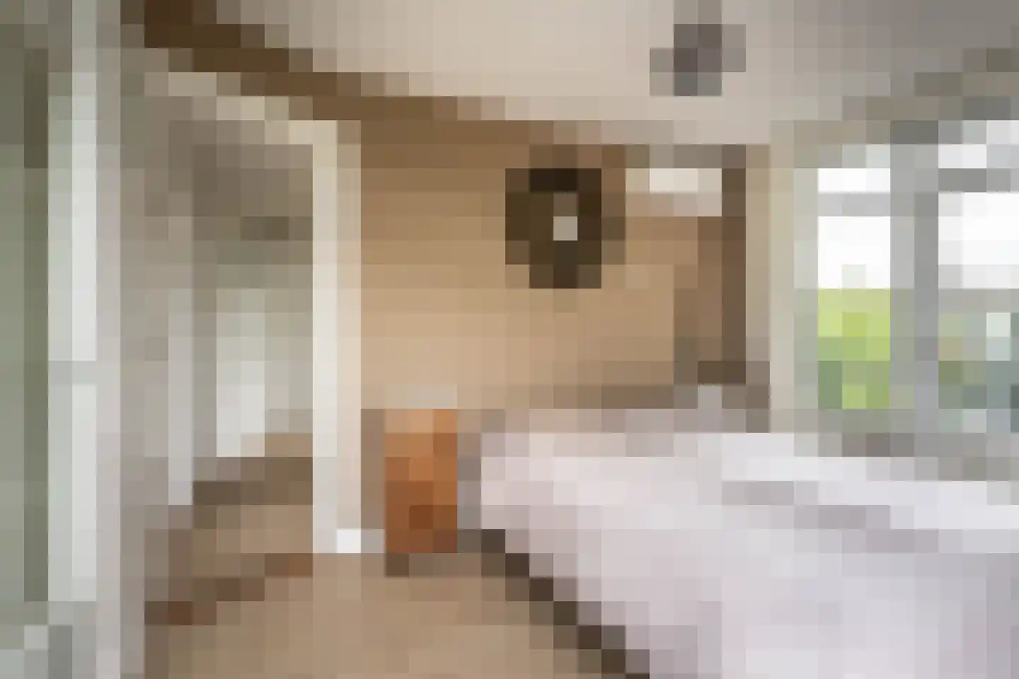 Esmoreitstraat 2 3 Amsterdam thumbnail 17
