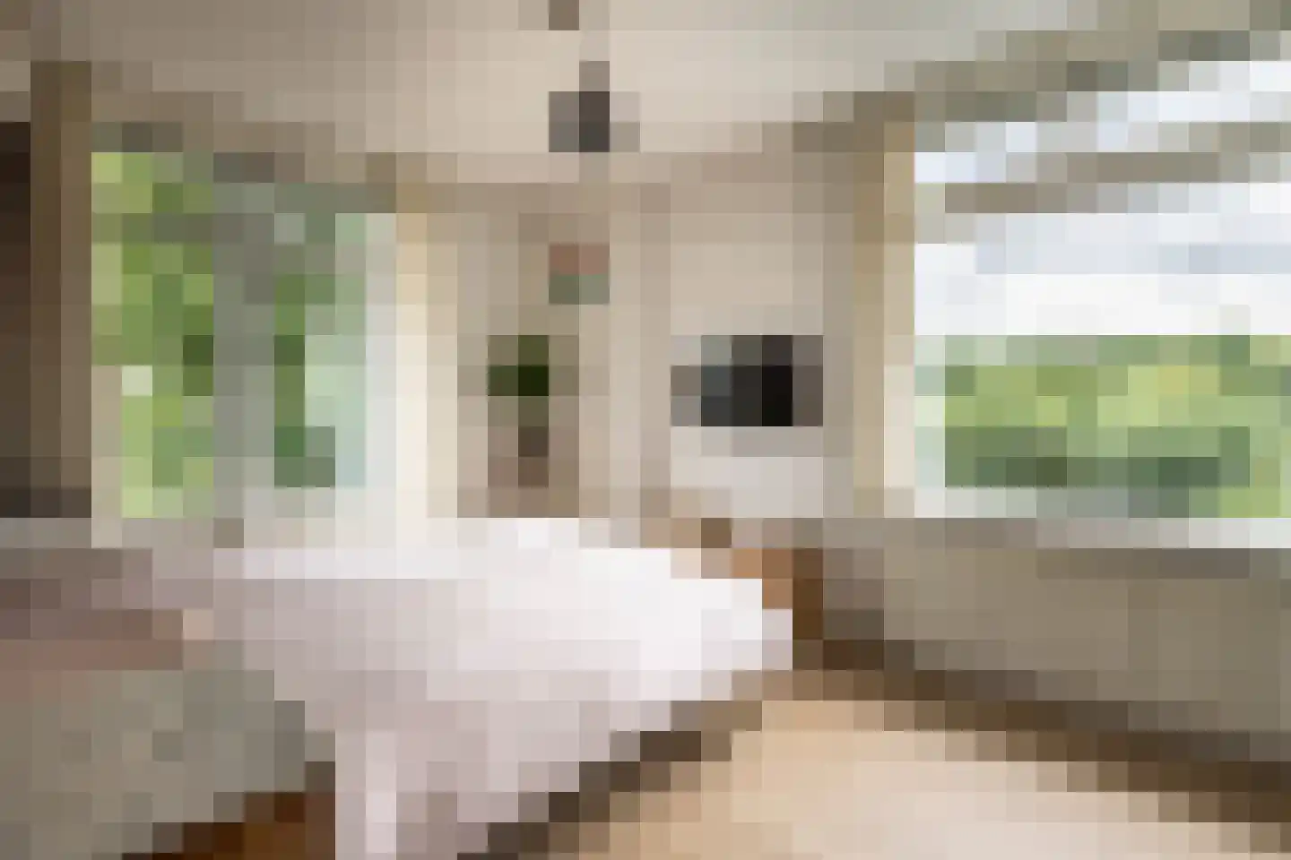 Esmoreitstraat 2 3 Amsterdam thumbnail 19