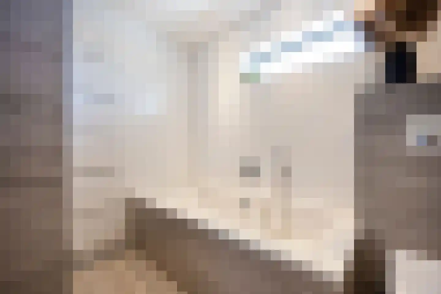 Esmoreitstraat 2 Oosterhout thumbnail 20