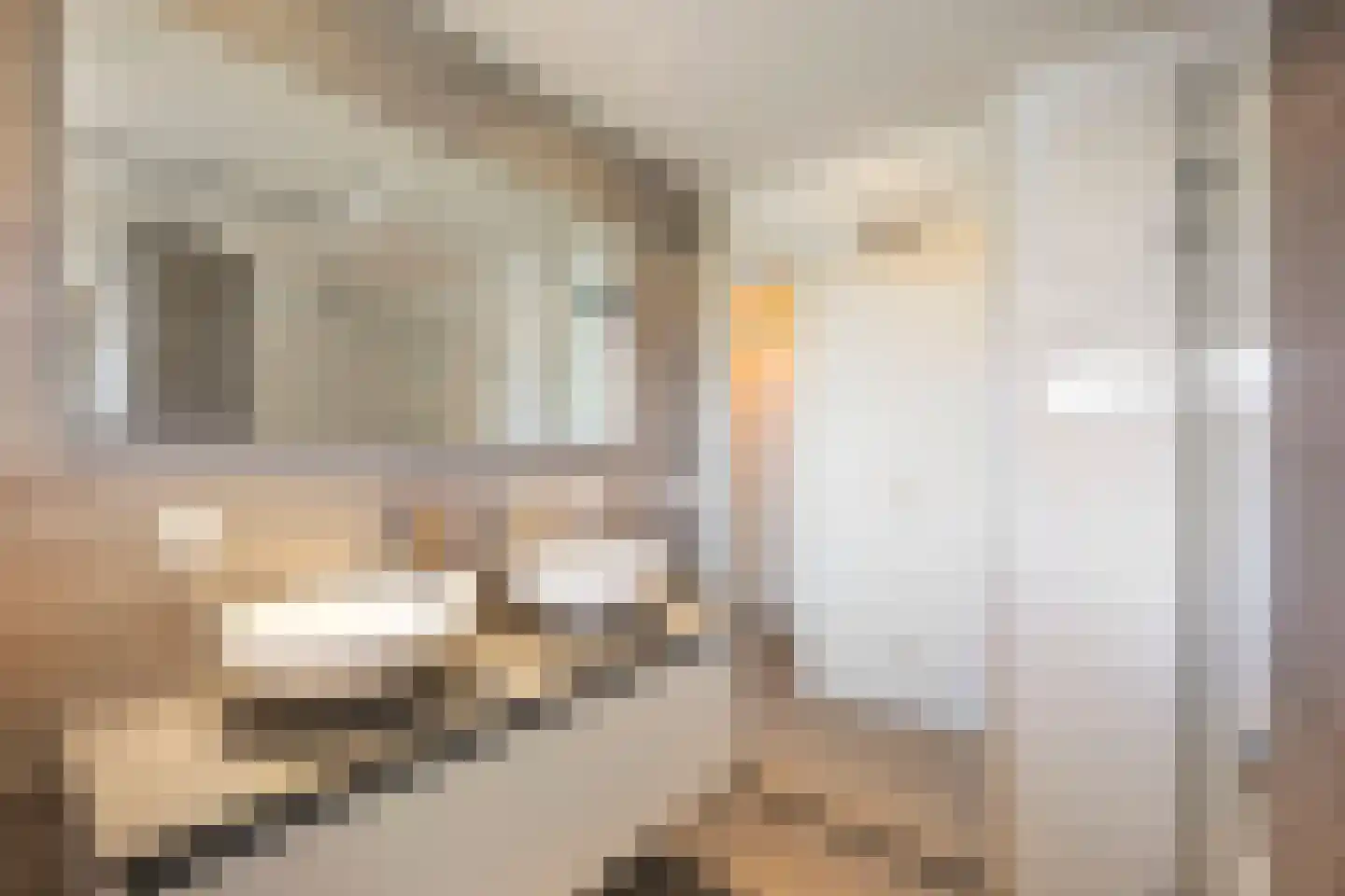 Esmoreitstraat 2 Oosterhout thumbnail 21