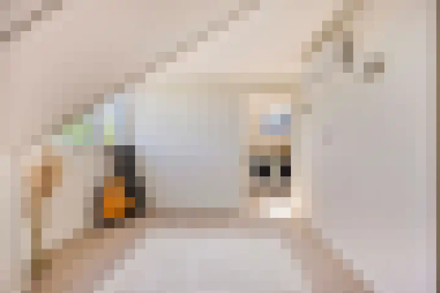 Esmoreitstraat 2 Oosterhout thumbnail 26