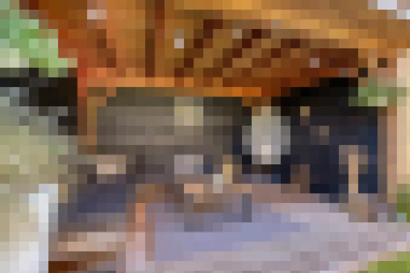 Esmoreitstraat 2 Oosterhout thumbnail 32
