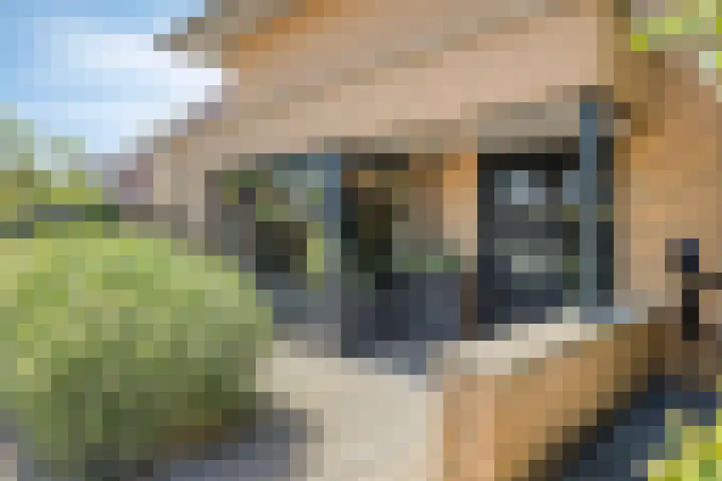 Esmoreitstraat 2 Oosterhout thumbnail 34