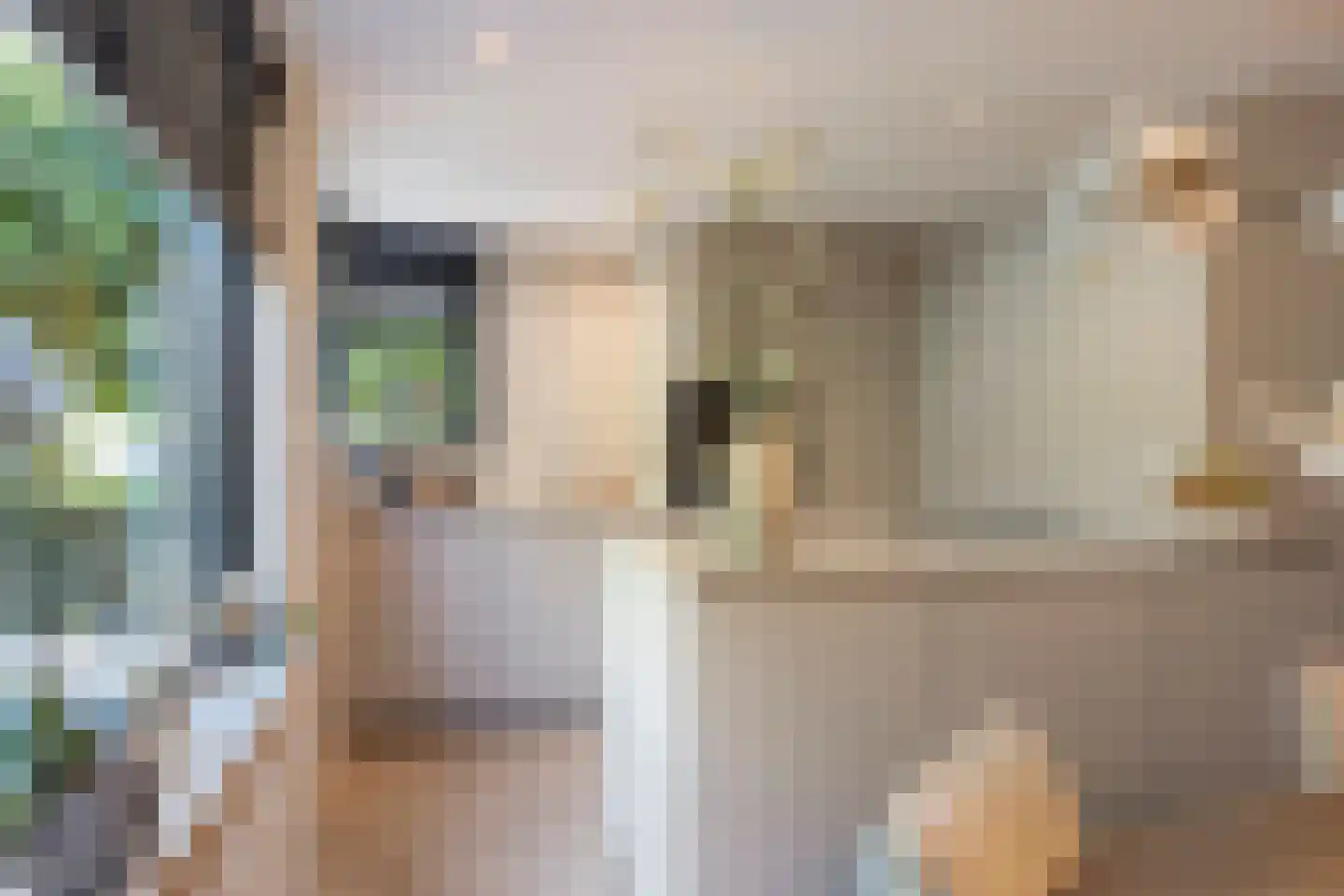 Esmoreitstraat 2 Oosterhout thumbnail 8