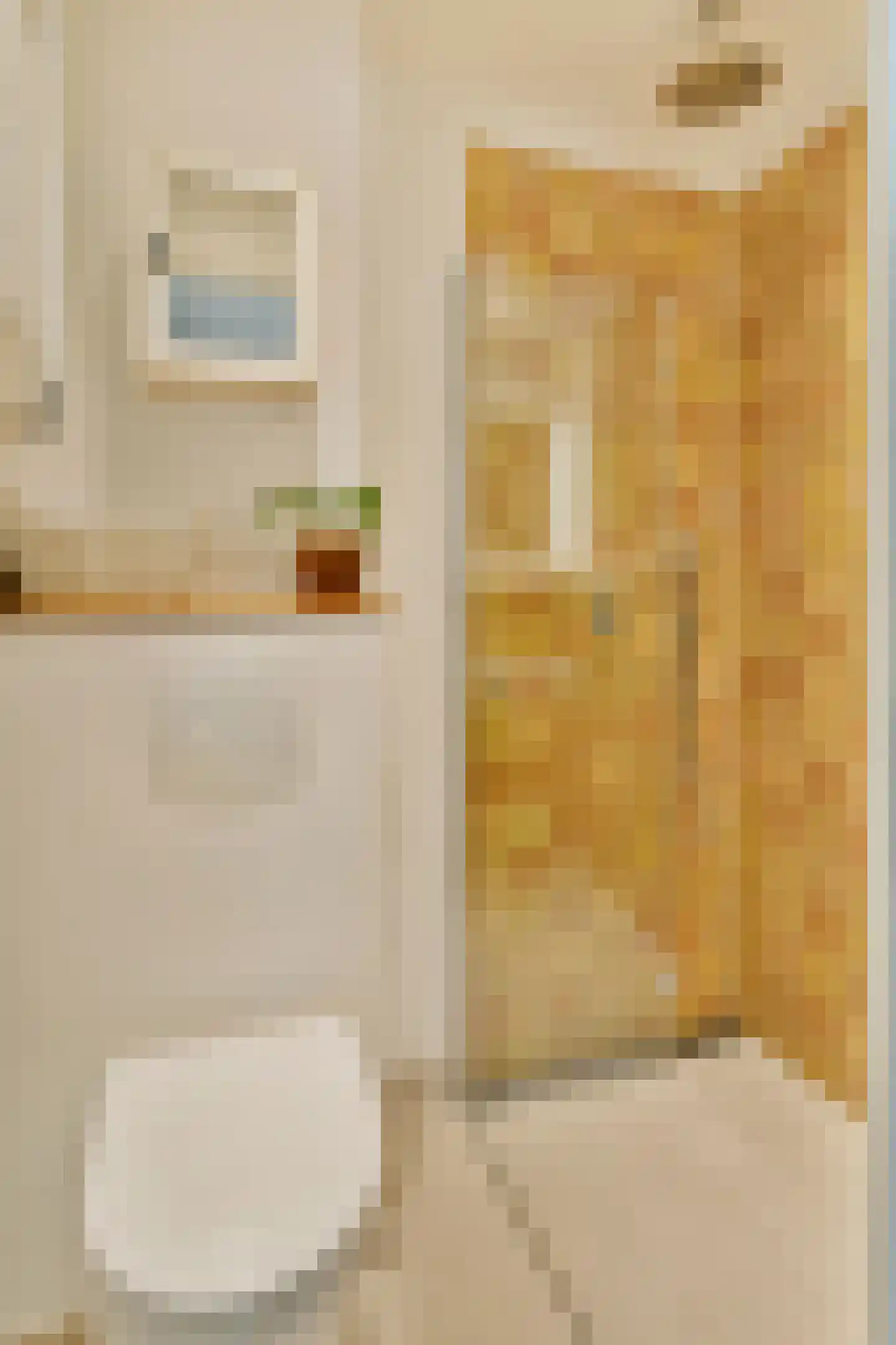 Esmoreitstraat 20 2 Amsterdam thumbnail 24