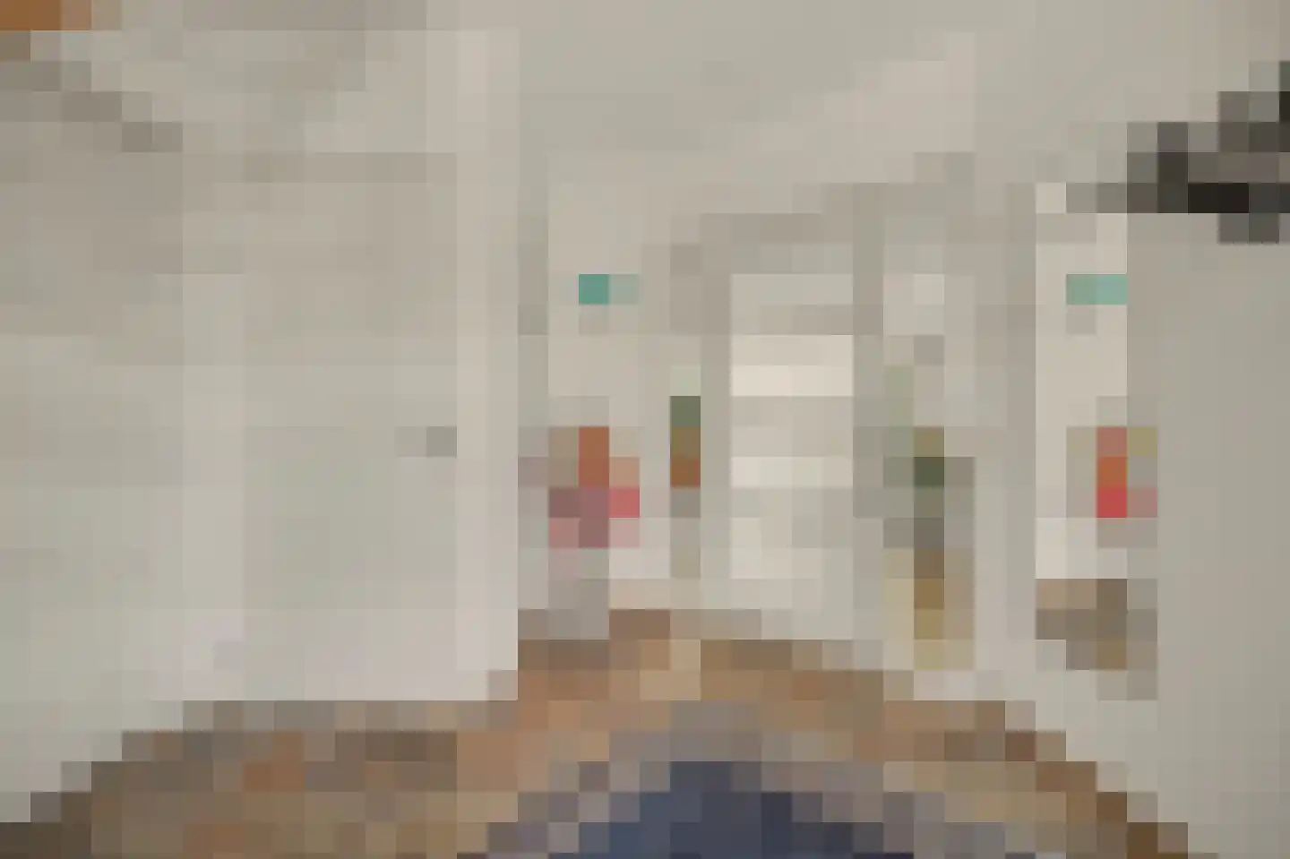 Esmoreitstraat 24 Oosterhout thumbnail 13