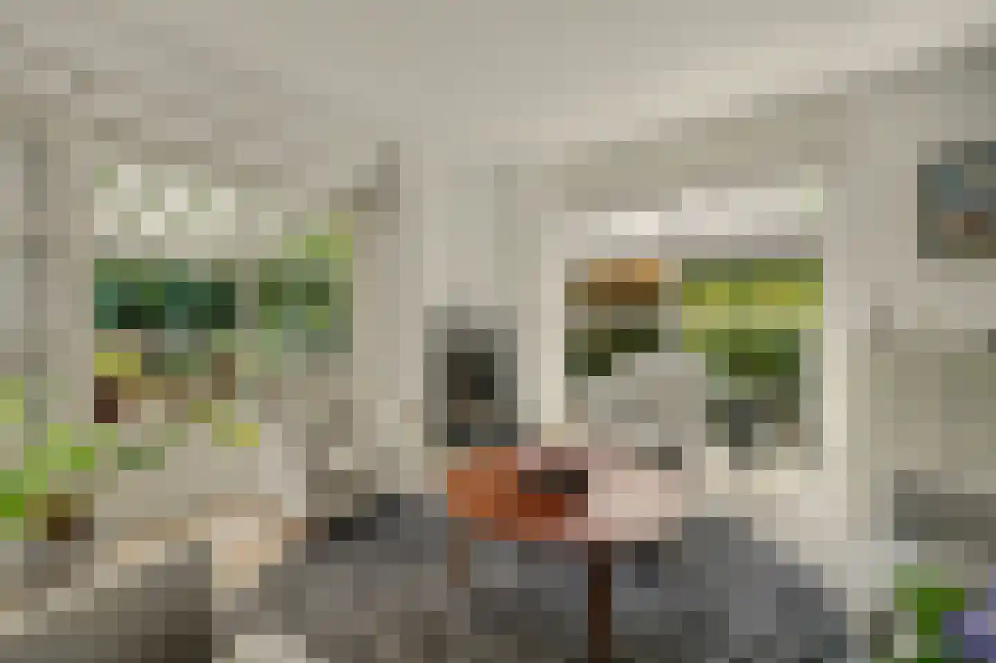 Esmoreitstraat 24 Oosterhout thumbnail 15