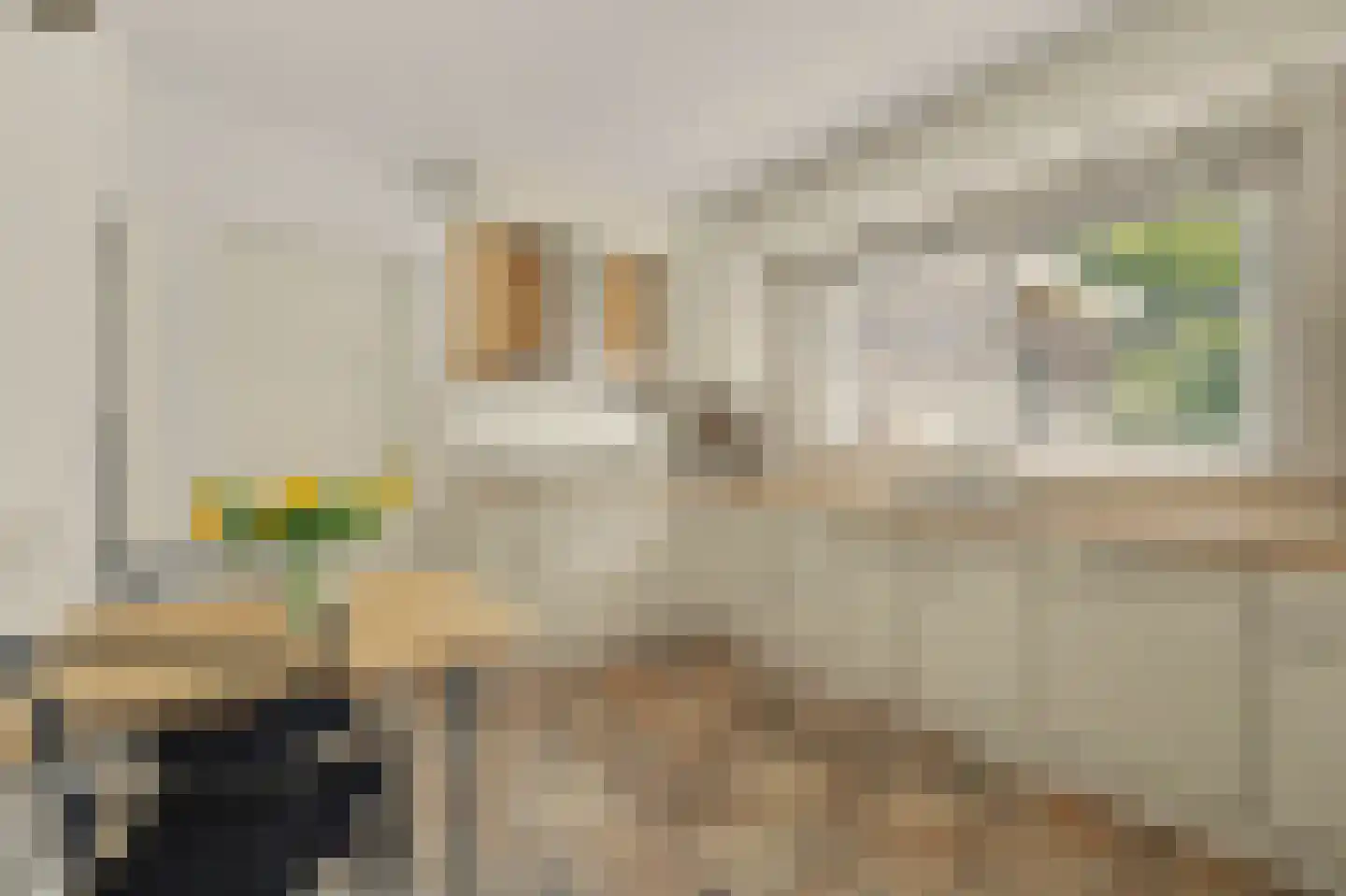 Esmoreitstraat 24 Oosterhout thumbnail 22