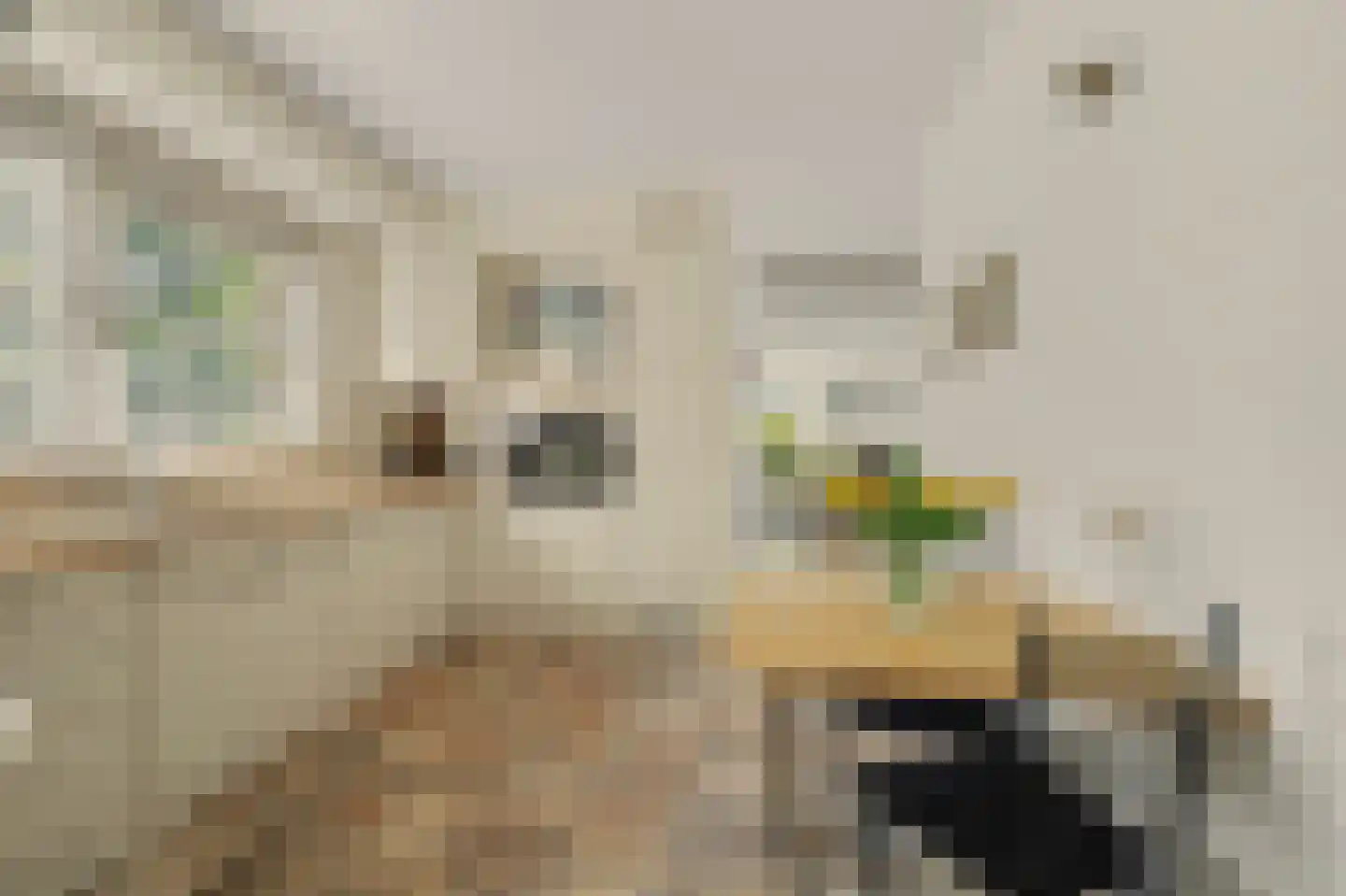 Esmoreitstraat 24 Oosterhout thumbnail 23