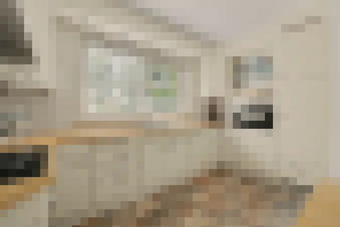 Esmoreitstraat 24 Oosterhout thumbnail 24